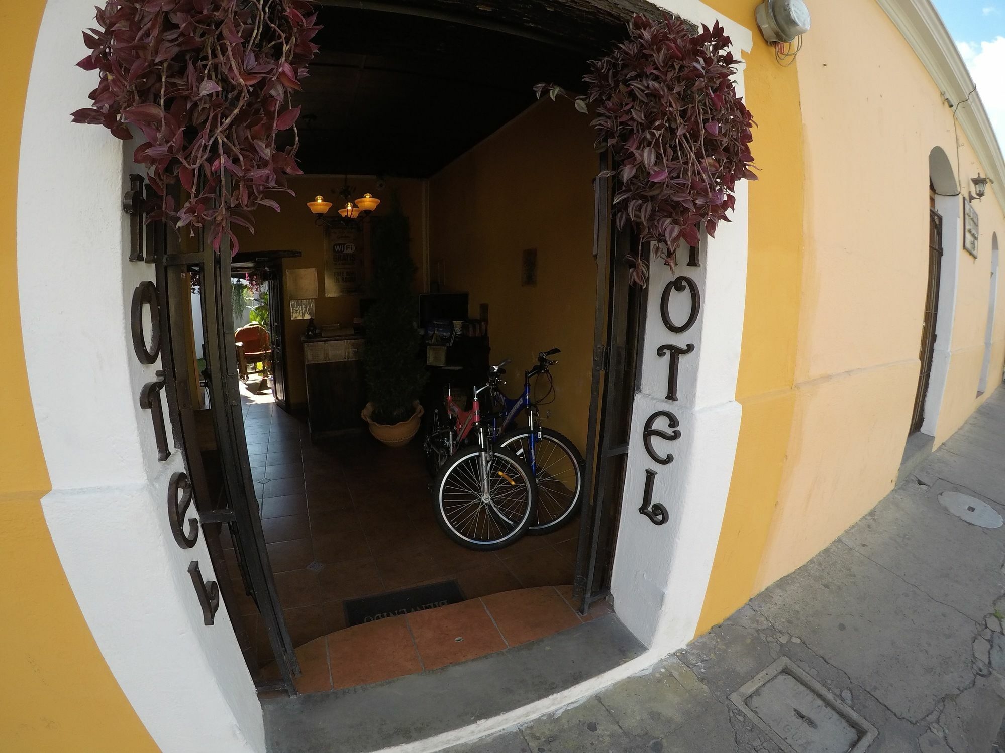 Garden Hotel Antigua Εξωτερικό φωτογραφία