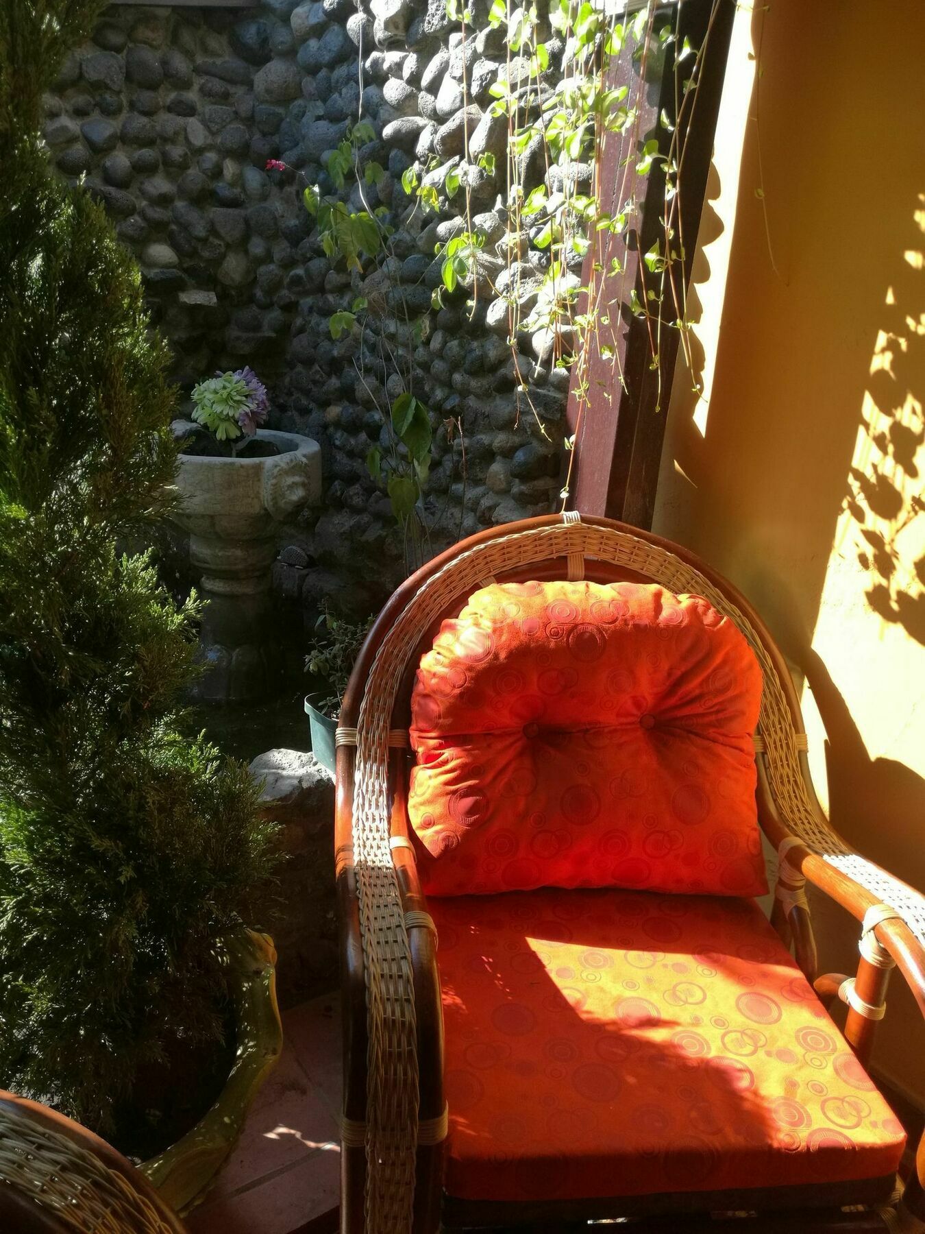 Garden Hotel Antigua Εξωτερικό φωτογραφία